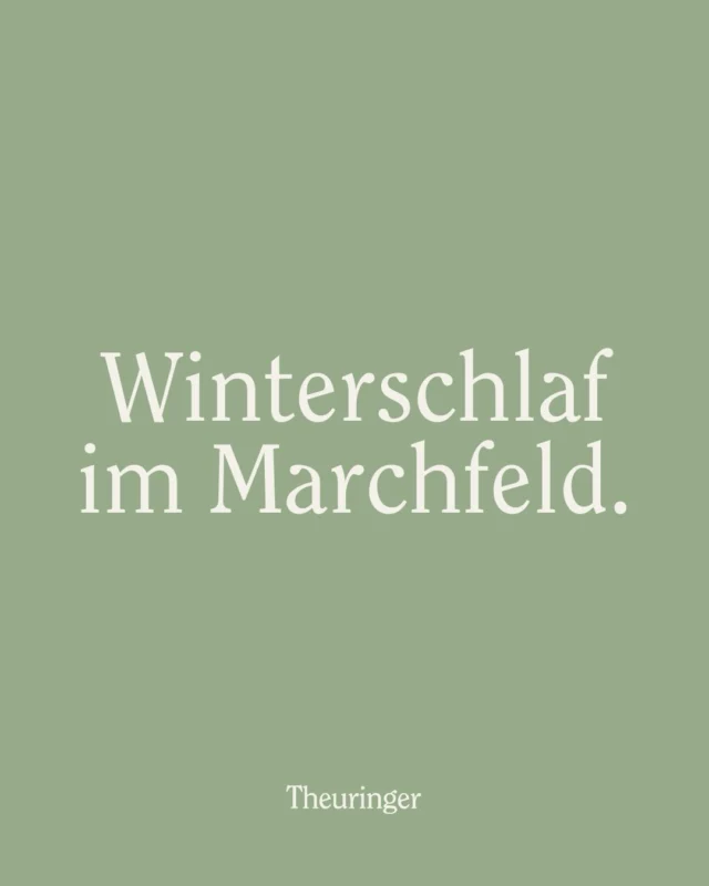 Stille vor der Saison. ❄️
Die Kälte hält unsere Felder noch fest im Griff. Alles liegt im Winterschlaf, die Natur gönnt sich ihre wohlverdiente Pause.
Wir nutzen diese ruhige Zeit für ein paar winterliche Einblicke vom Feld
und freuen uns schon jetzt darauf, wenn mit den ersten warmen Tagen wieder Leben einkehrt und in unseren Folientunneln frische Erdbeeren wachsen. 🍓🌱
Bald heißt es wieder: echt, regional, vom Feld direkt zu euch.
