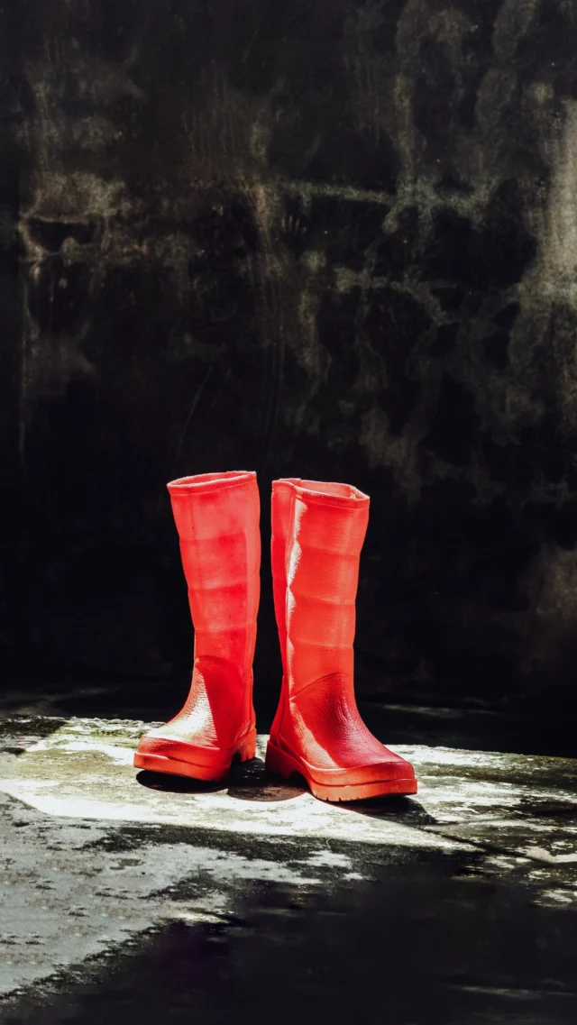 Der Frühling steht vor der Tür und auf unseren Feldern wird schon fleißig gearbeitet. 👨‍🌾
Damit der erste Spargel früher wachsen kann, bringen wir jetzt die Verfrühungsfolien auf den Dämmen aus. 🌱
Sie speichern die Wärme der Sonne und sorgen dafür, dass der Boden schneller warm wird. So können wir euch bald wieder frischen Spargel vom Theuringer Hof servieren.
Es braucht noch ein bisschen Geduld, aber Wir freuen uns jetzt schon riesig auf die Spargelsaison mit euch! 💚