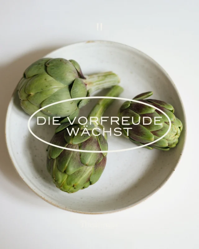 Bald ist es wieder so weit! 🌿
Ab Dienstag, 11. August 2026 sind wir wieder für euch da! 💚
Unser Hofladen in der Gersthofer Straße 63 öffnet seine Türen und ist bis Ende Oktober wieder mit frischen Köstlichkeiten aus der Region für euch geöffnet. Außerdem findet ihr unsere Produkte auch bei Theuringer Stephanie, Altes Dorf 31 in Raasdorf.
Freut euch auf die ersten Herbsterdbeeren, frische Artischocken, knackiges saisonales Gemüse, Obst und viele weitere Schmankerl, die den Spätsommer und Herbst so besonders machen. 🍓🥬🍎
🐟 Jeden Freitag von 15 bis 18 Uhr gibt es außerdem wieder frischen Saibling.
Schaut vorbei, genießt die Vielfalt der Saison und nehmt euch ein Stück Regionalität mit nach Hause. Wir freuen uns schon auf viele bekannte und neue Gesichter! 💛
#HofTheuringer #RegionalAusLeidenschaft #Hofladen #Rasdorf #GersthoferStraße Saisonal FrischVomHof Herbsterdbeeren RegionalGenießen